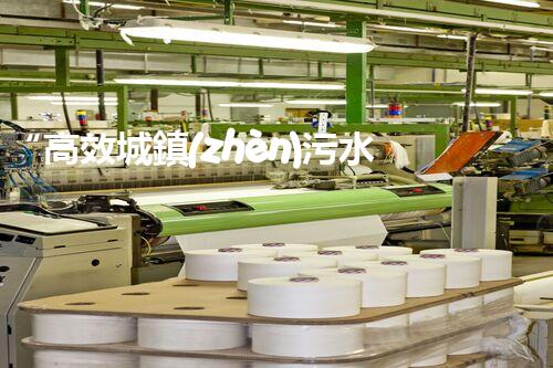 “高效城鎮(zhèn)污水處理流程，守護碧水藍天新篇章”